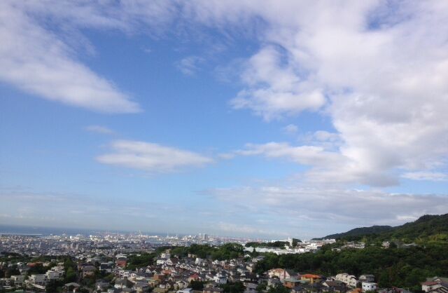 梅雨の晴れ間 インフルエンザワクチンの話