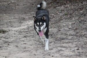 IMG_5593