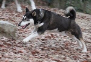 IMG_6319